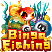 Câu Cá Bingo - rr8866 bắn cá